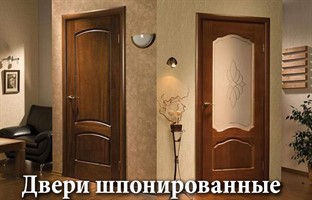 Двери шпонированные