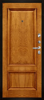 Дверь входная Президент Стайл, цвет Чёрная Мягкая Шагрень, панель - Корсика цвет Дуб patina antico - фото 107638