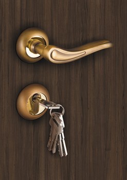 Ручка Fuaro (Фуаро) раздельная R.RM54.MELODY (MELODY RM) AB/GP-7 бронза/золото - фото 81702