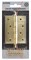 Петля Fuaro (Фуаро) универсальная IN4400UA-BL PB (4BB/A/BL 100x75x2,5) латунь БЛИСТЕР - фото 132591